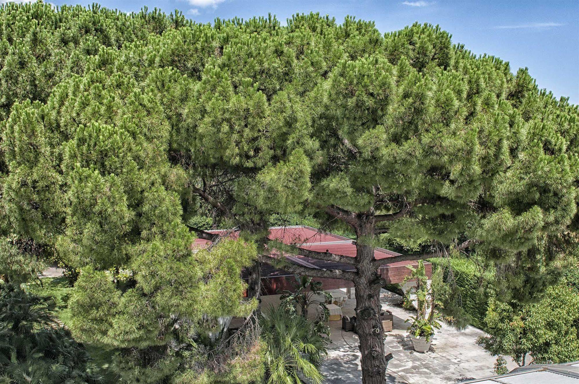 Garden Hotel Молфета Екстериор снимка