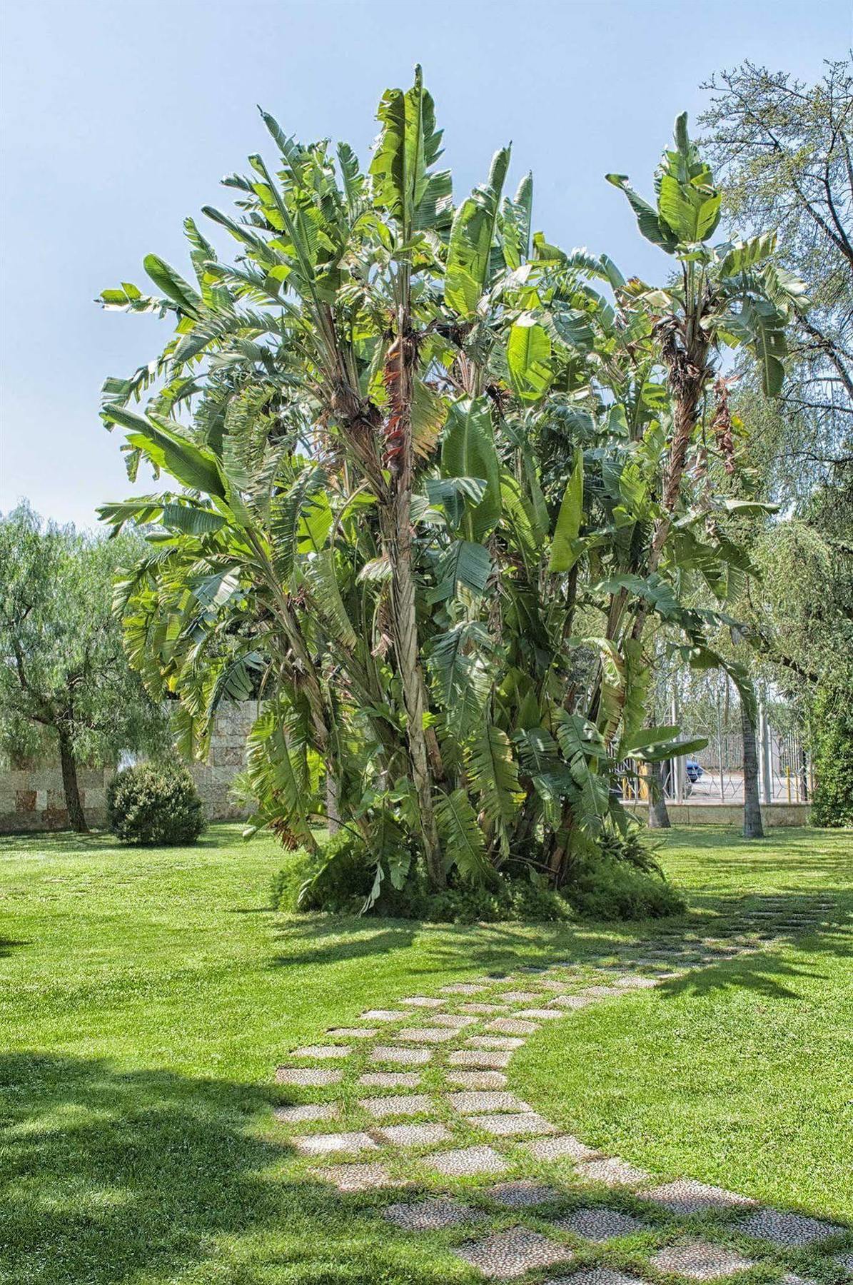 Garden Hotel Молфета Екстериор снимка